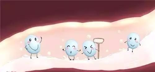 服用益生菌产品时需要注意什么？益生菌制剂